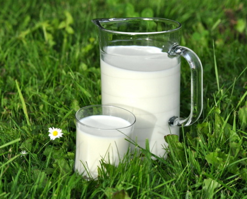 LMU Münih’in yeni çalışması, A2 sütünün bir avantaj sağlamadığını gösteriyor.