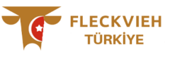 FLECKVİEH T&Uuml;RKİYE